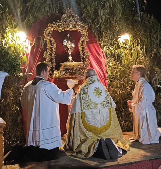 Vigilia de Espigas en Hinojos: Una noche de devoción y comunión
