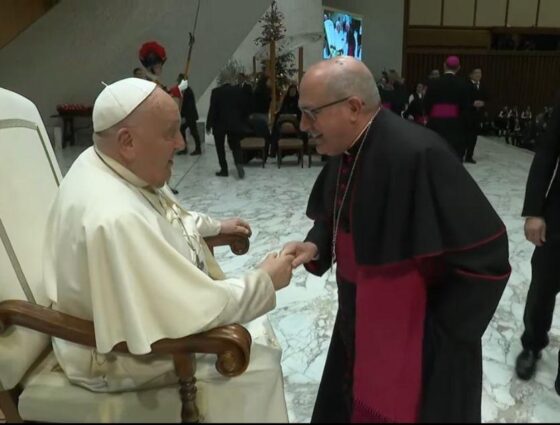 El Obispo de Huelva celebra, junto cientos de peregrinos rocieros, una histórica audiencia con el Papa Francisco