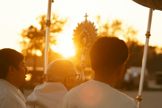 Cinco años de servicio episcopal en la festividad del Apóstol Santiago